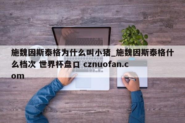 施魏因斯泰格为什么叫小猪_施魏因斯泰格什么档次 世界杯盘口 cznuofan.com